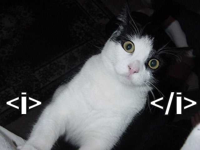 HTML Humour: Italic cat